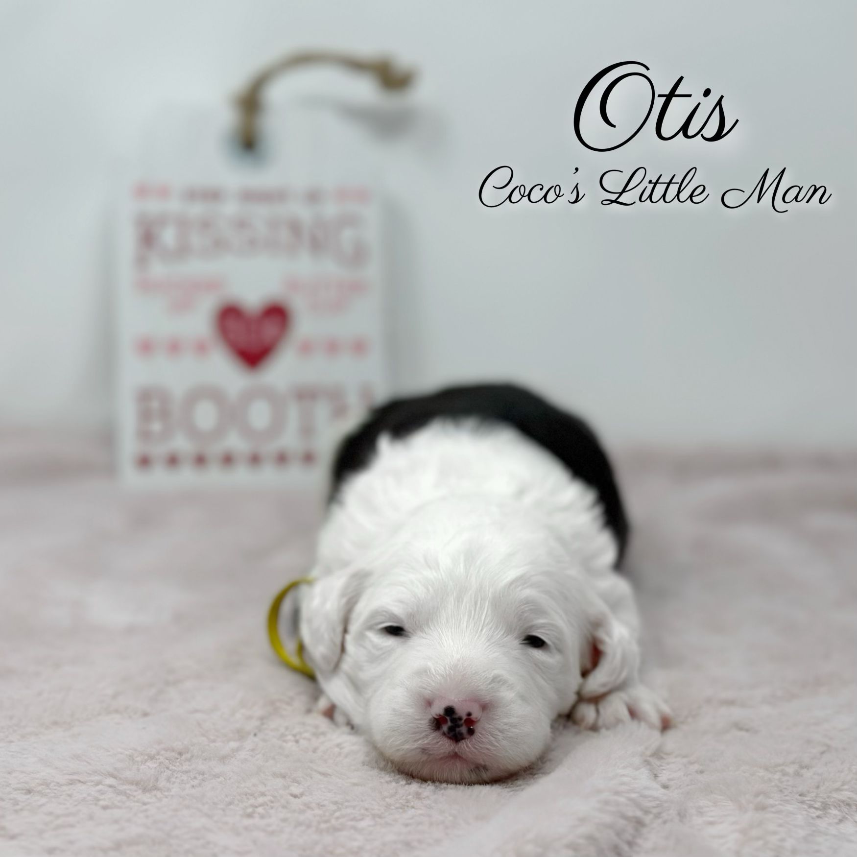 Otis Coco's Little Man