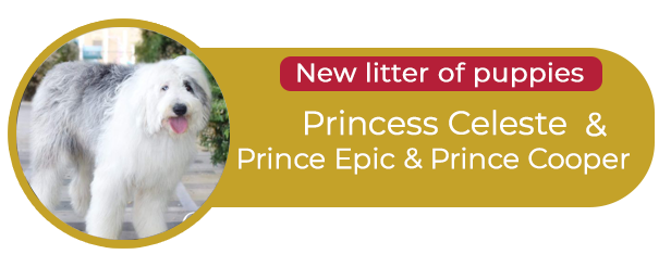Princess Celeste & Prince Epic & Prince Cooper