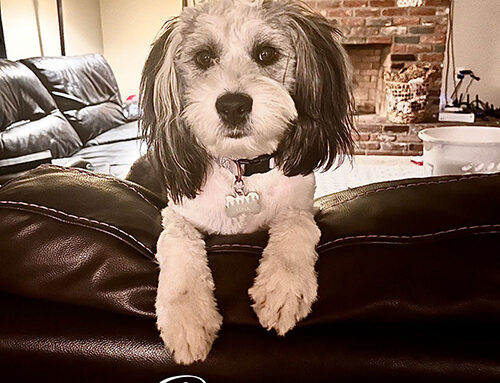 Princess Destiny and Sir Gideon