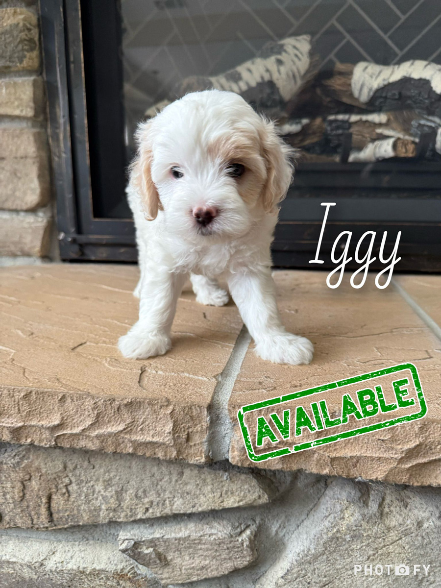 laggy