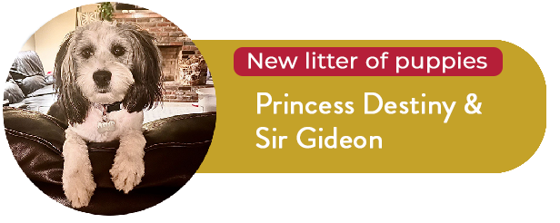 Princess Destiny and Sir Gideon