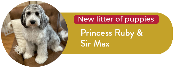 Princess Ruby and Sir Max