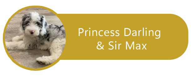 Princess Darling and Sir Max