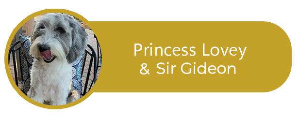 Princess Lovey and Sir Gideon