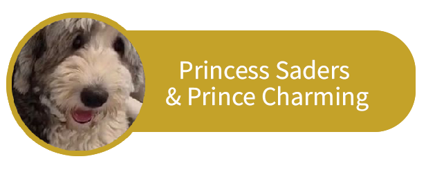 Princess Saders and Prince Charming